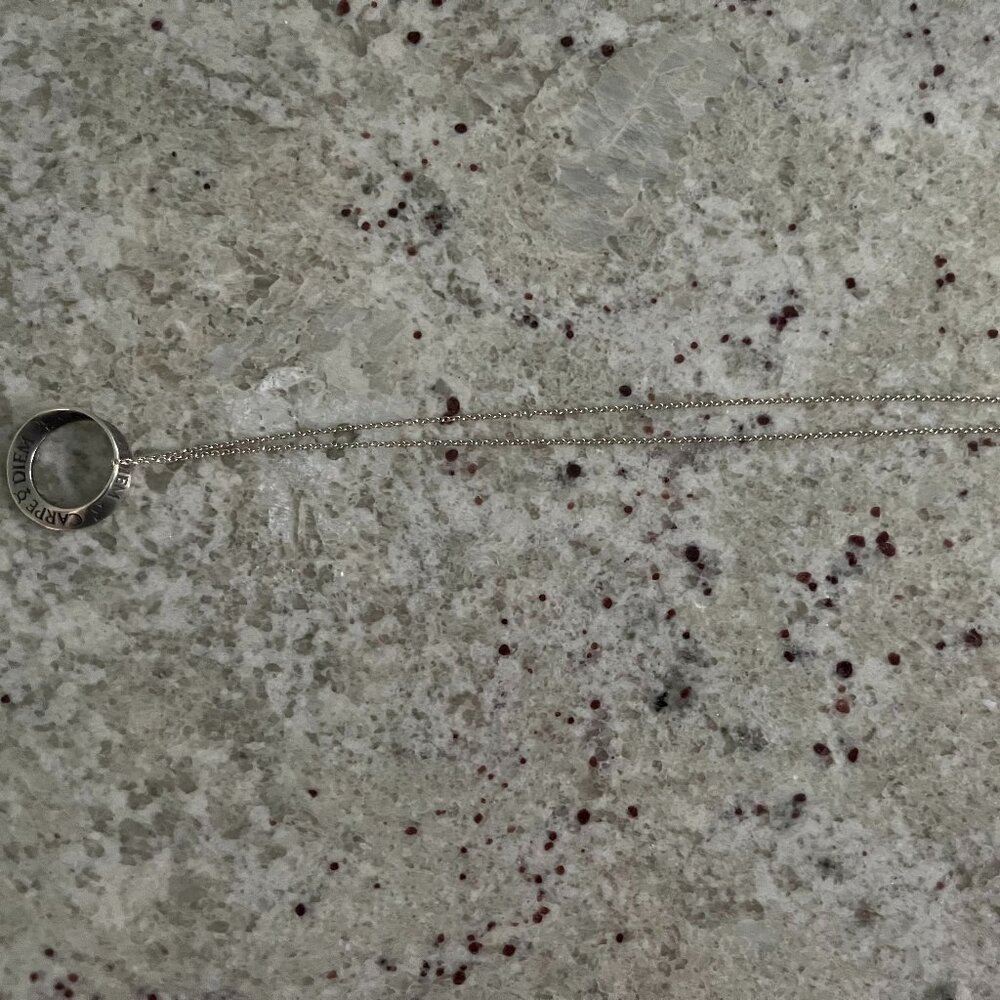 Carpe Diem Pendant Necklace